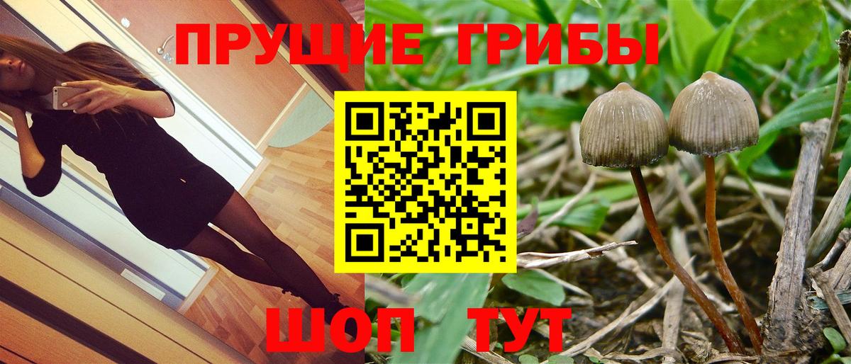 Галлюциногенные грибы мухоморы Киреевск