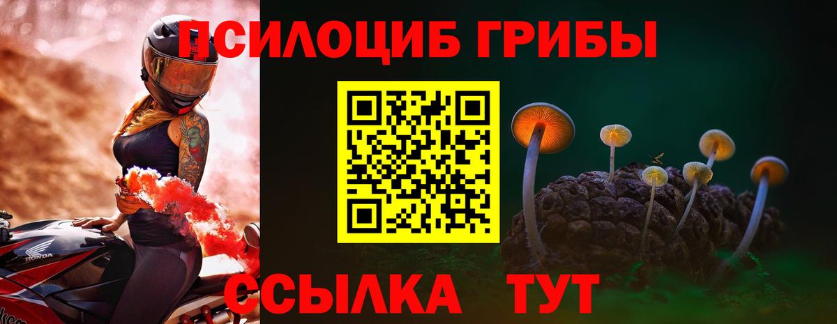 Псилоцибиновые грибы мицелий  Вход с VPN  Киреевск  Галлюциногенные грибы MAGIC MUSHROOMS 
