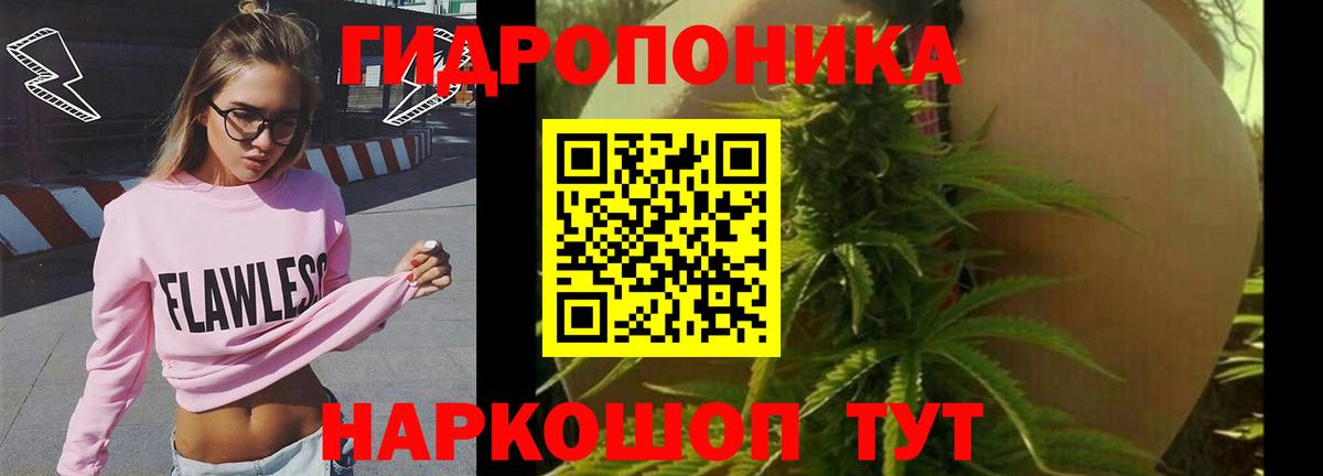 Киреевск  МАРИХУАНА планчик  Вход с VPN  Бошки Шишки планчик  Бошки марихуана ГИДРОПОН 